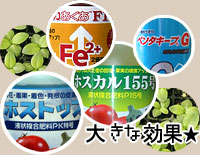 組合せ散布で大きな効果