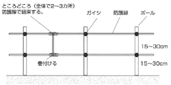 防護線の張り方　ポールを打ち込み、防護線を張る