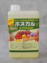 天然セルロースによる葉面保護 【 64never 】 （ロクヨンネバー）｜IPM