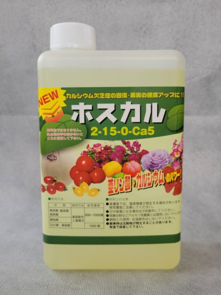 画像1: ホスカル155号　[ 亜リン酸カルシウム肥料 ] (1)