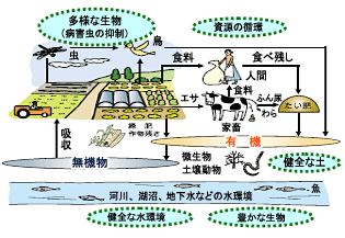 有機農業による環境と調和の取れた農業生産