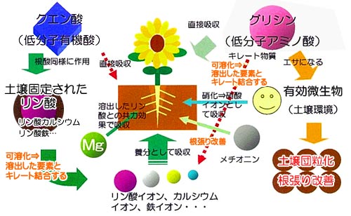 ソイルマスターによる土壌のデトックス効果