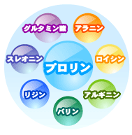 使用方法イメージ